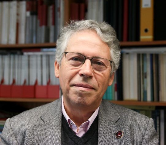 Prof. José Luís Figueiredo distinguished with the R+D+i Excellence Medal