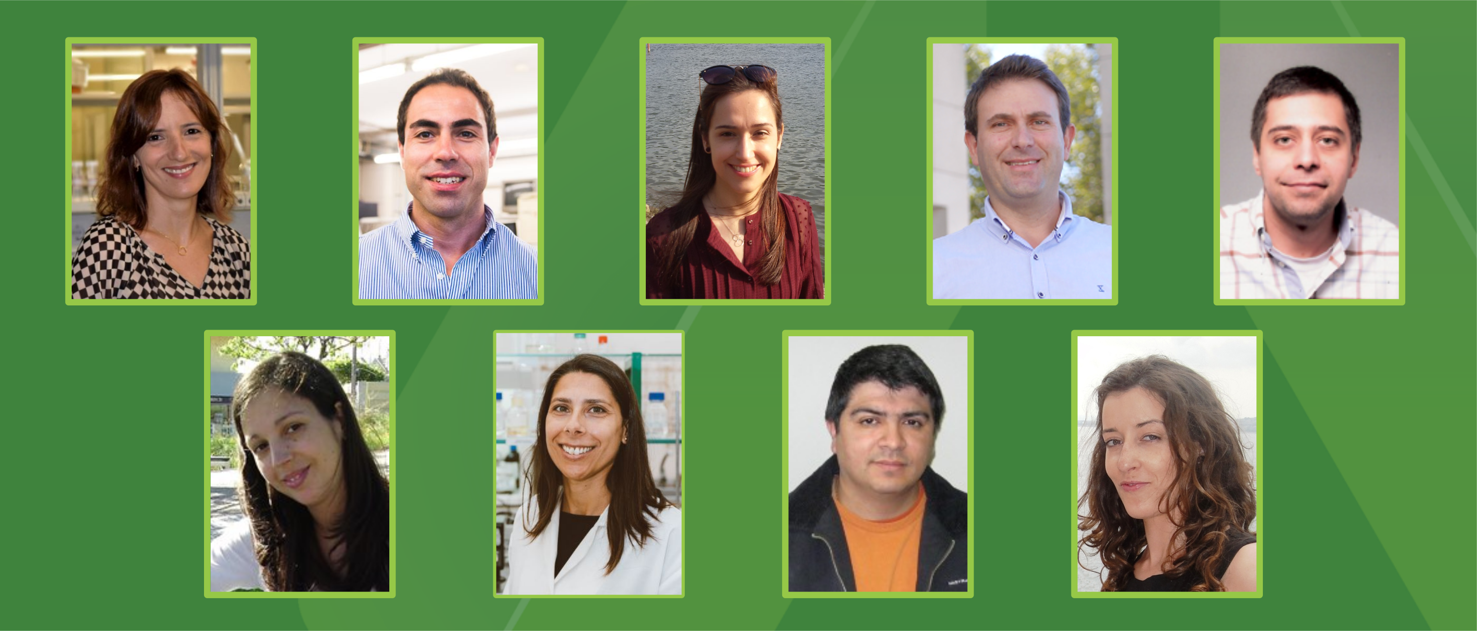 Nine new permanent researchers of ALiCE